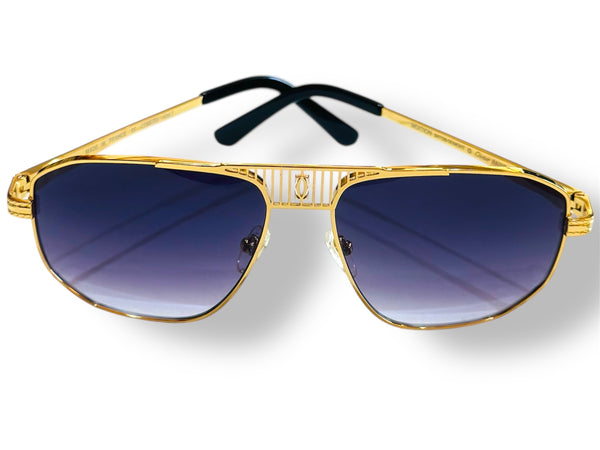 Cartier santos-Dumont ct0873s