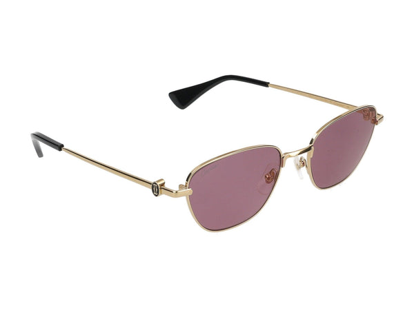 Cartier santos-Dumont Bink